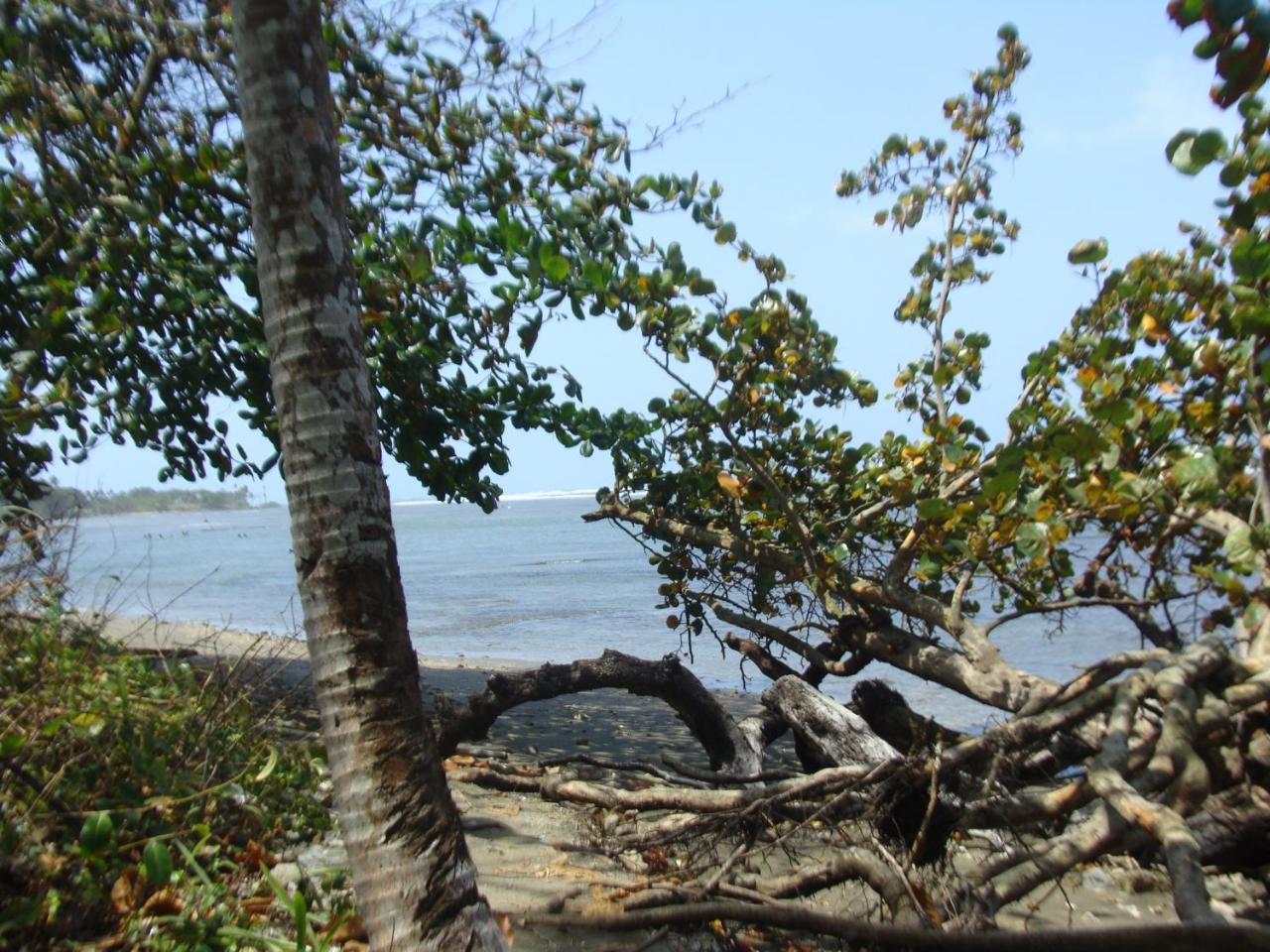 Apartamento En Balabeach Maria Chiquita In Front Of The Beach 2Hab โกลอน ภายนอก รูปภาพ