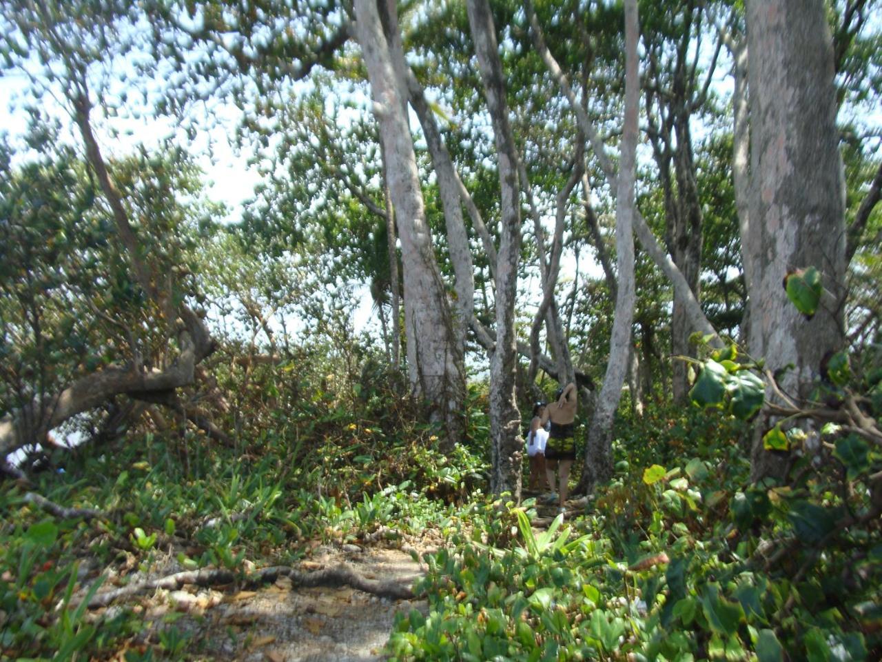 Apartamento En Balabeach Maria Chiquita In Front Of The Beach 2Hab โกลอน ภายนอก รูปภาพ